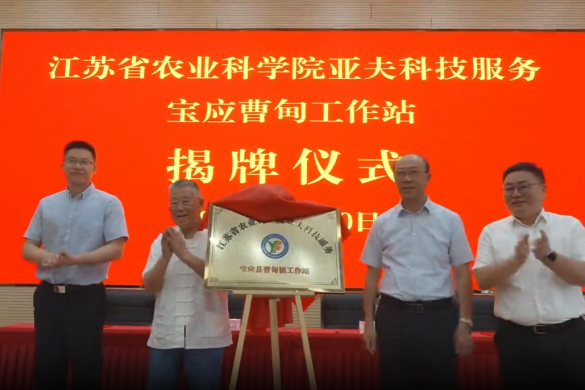 江苏省农业科学院亚夫科技服务宝应曹甸工作站揭牌成立