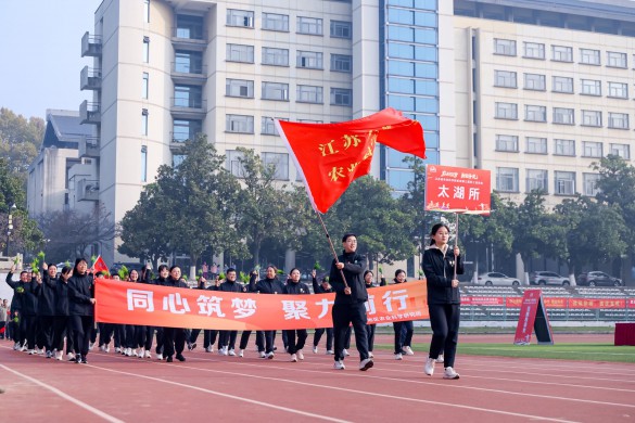 我院勇夺江苏省农业科学院系统第三届职工运动会总冠军