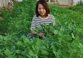 江苏省第四、第五期&ldquo;333高层次人才培养工程&rdquo;培养对象、江苏省&ldquo;六大人才高峰&rdquo;高层次人才培养对象--李茹同志简介