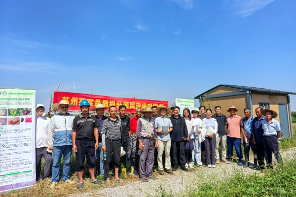 “苏州芡实品质提升项目”现场观摩会顺利举办