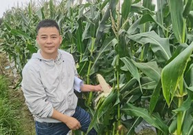 省第五、六期&ldquo;333高层次人才培养工程&rdquo;培养对象王军同志简介