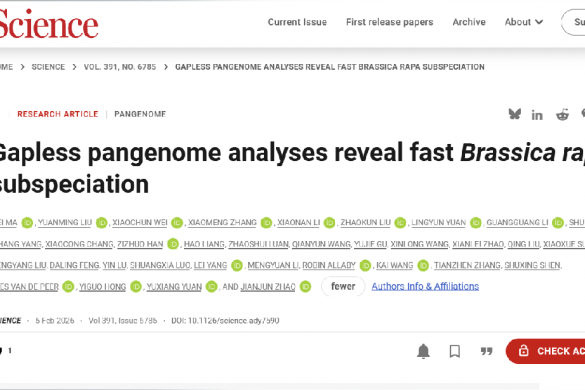 我院蔬菜研究所在《Science》上参与发表白菜家族基因组最新研究成果